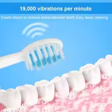 Sonic Electric Toothbrush IPX7 Waterproof Adult Couple Home